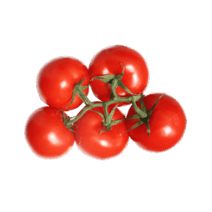 Donsectetur adipiscin